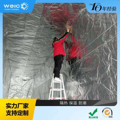 现货20GP-45HC集装箱隔热衬袋防潮保温运输包装袋