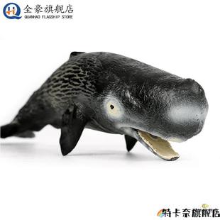 彷真抹香鲸梅氏利维坦鲸齿鲸大号梅尔维尔鲸玩具儿童海底生物模型