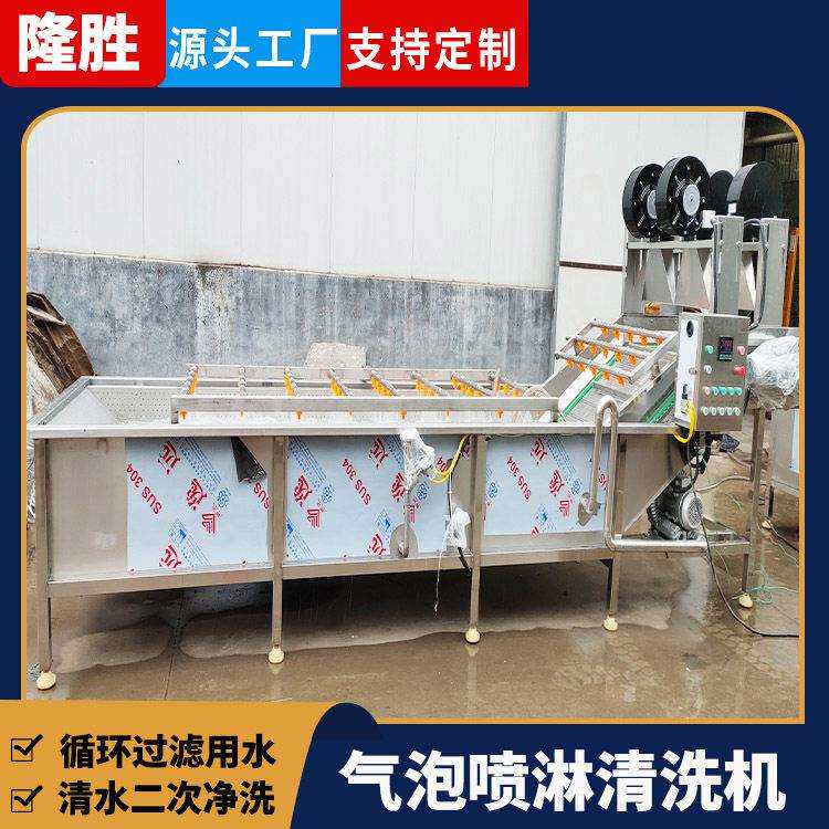 全自动山竹气泡喷淋式清洗机水果压清洗设备果蔬清洗风干线