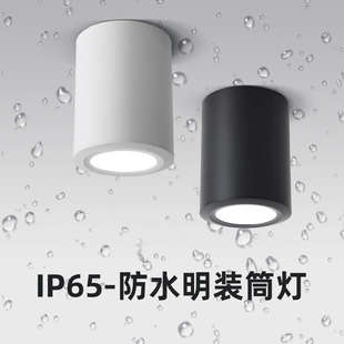 筒灯lP65室外阳台酒店雨棚灯店铺门头明装 防水明装 吸顶射灯圆形