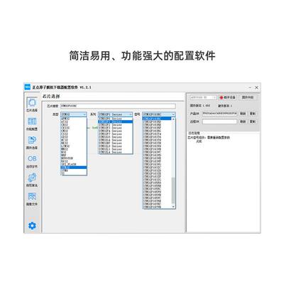 正点原子P100脱机下载器V2 STM32 STM8 N76E GD离线烧录编程烧写