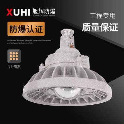 XHD510系列免维护LED防爆灯20W/30W/40W防爆LED灯防爆投光灯超亮
