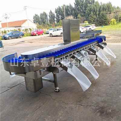 人参大ZLD小称重分选级机 山种子重量分选机 全自称重托盘动分设