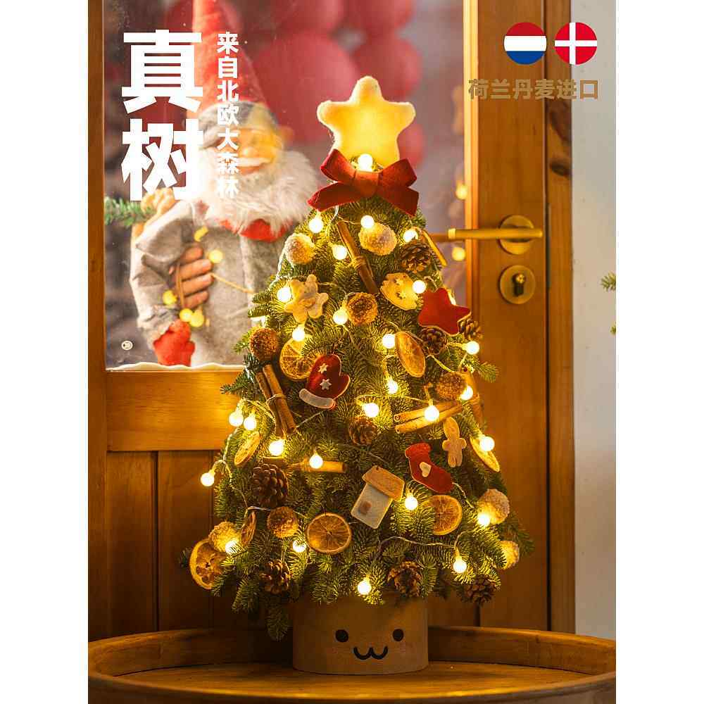 圣诞节装饰诺贝松圣诞树真树小型桌面摆件手工diy场景布置品礼品
