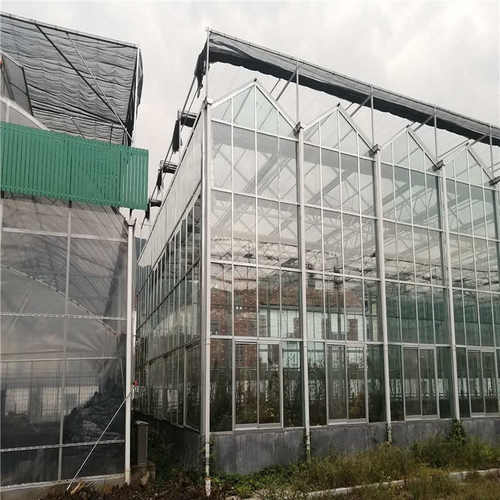 智能玻璃温室大棚 花卉种植育苗阳光温室大棚 生态科研可恒温大棚