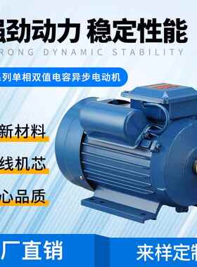 出口电压YL系列单相双值电容异步电动机(220V60hz)马达