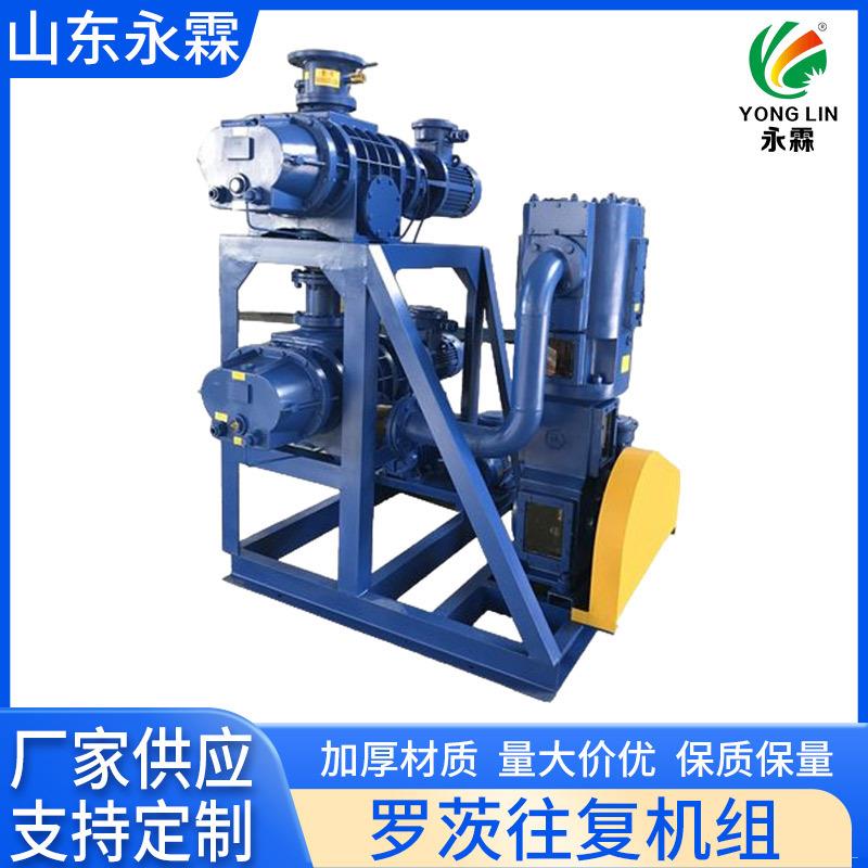 定制JZJ2B水环罗茨真空泵机组JZJS罗茨泵水环式罗茨水环真空机组