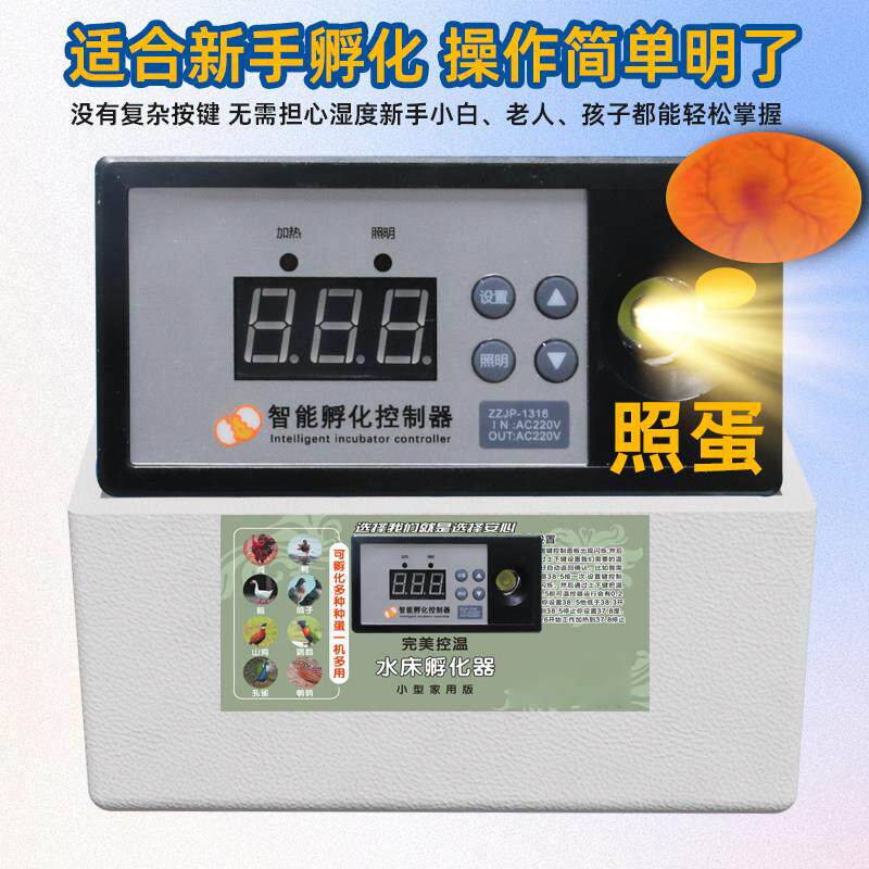 孵化器孵蛋机小型家用水床孵化器鸡鸭鹅智能孵化全自动恒温孵蛋箱