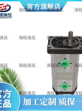 2CBT-F320/F310 东方红1204/1304拖拉机配套花键双联泵