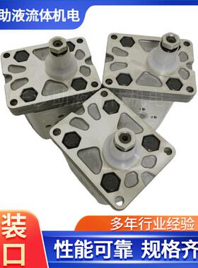 马祖奇反转齿轮泵ALP2-S-40压路机齿轮泵液压泵