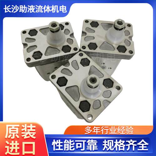 马祖奇反转齿轮泵ALP2-S-10压路机齿轮泵液压泵