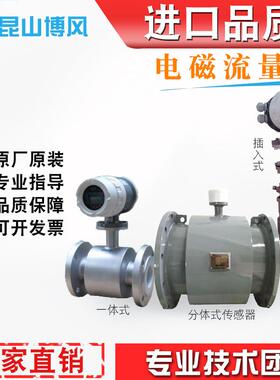 工厂直销分体电磁流量计防腐污水泥浆管道流量计DN40/50/65