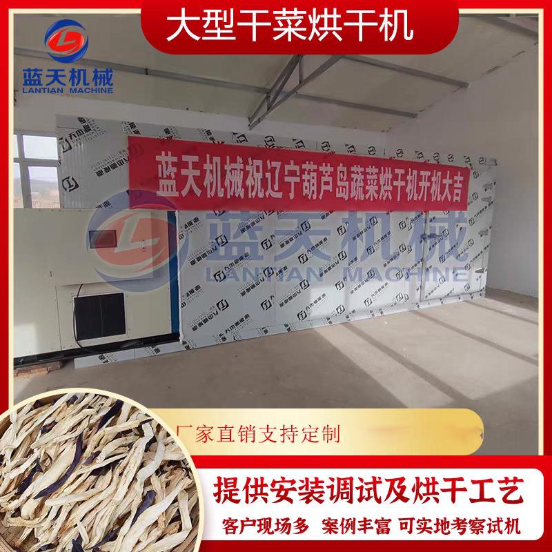 大型蔬菜风干机全自动豆角辣椒黄瓜条茄子干菜土豆片烘干机整套