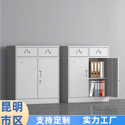 钢制文件柜单节办公室档案收纳柜矮柜子带锁家用铁皮柜工具收纳柜