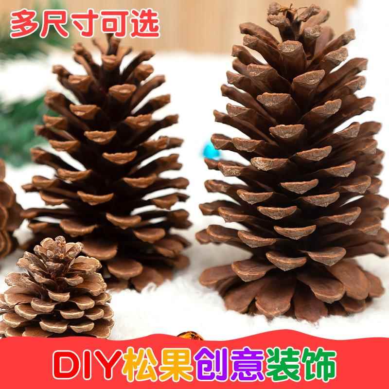 松果装饰松塔幼儿园儿童手工diy材料包环创树枝干花摆件吊饰挂件