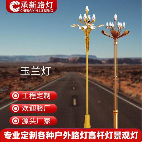 厂家户外广场市政工程景观灯道路照明庭院led中华灯玉兰灯