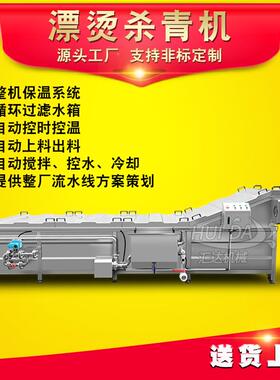 自动温控菊花杀青机 养生茶加工清洗漂烫设备 商用酸枣预煮设备