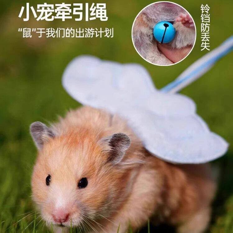 荷兰猪牵引绳宠物仓鼠带铃铛松鼠兔子1.4米用品