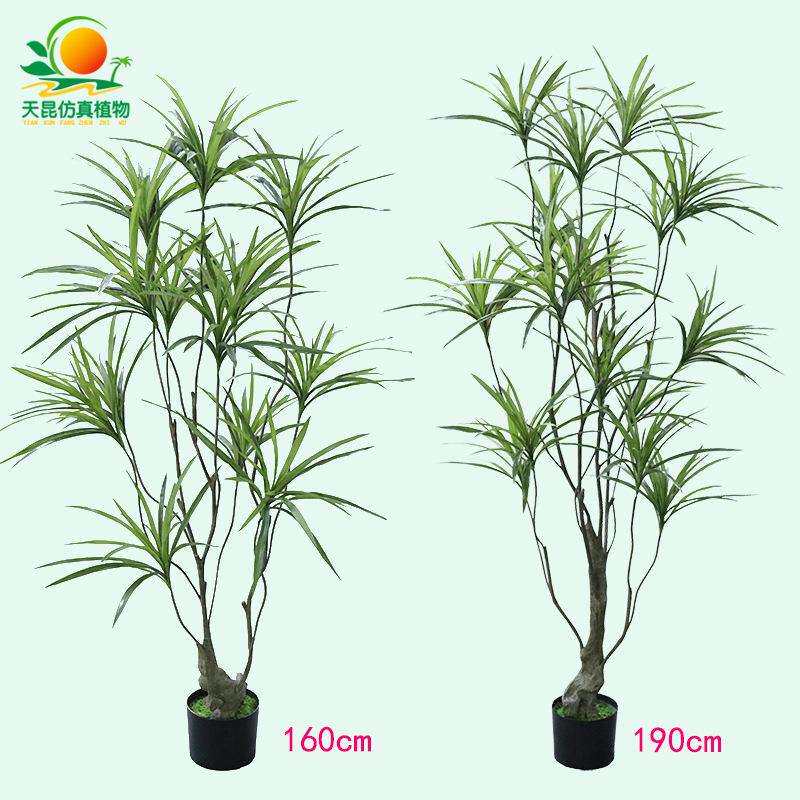 仿真绿新植仿真吊兰盆栽酒家居橱店窗装饰品c3仿真血树仿龙真植物