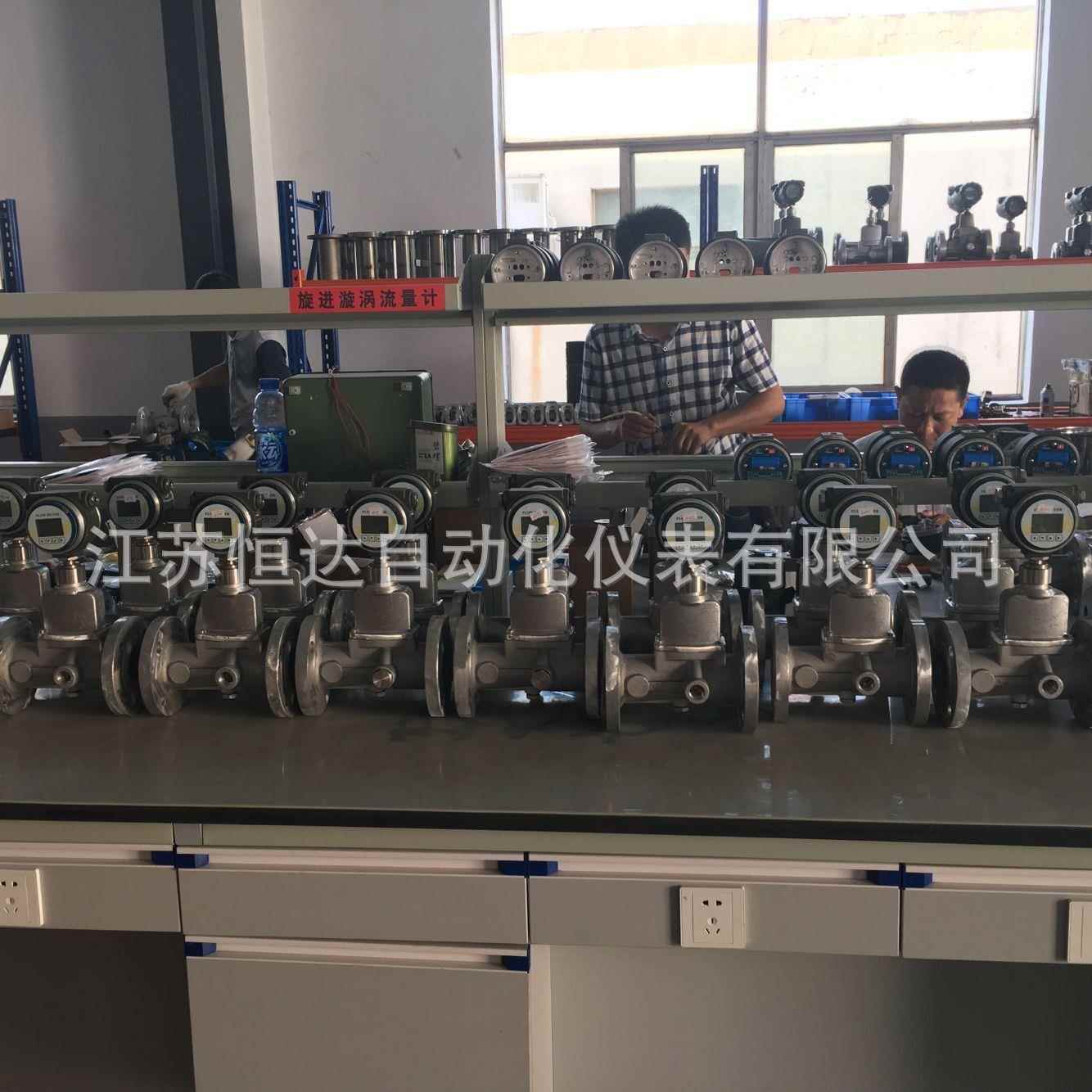 进漩涡旋流计LUH-8W0防爆天然气流量计液化石油气量EWN流量计空气