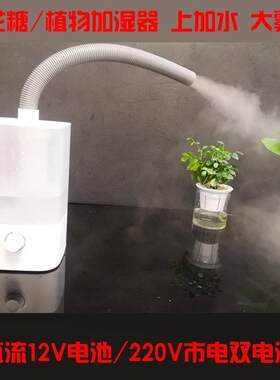 花式棉花糖加湿器12V电池电瓶 果蔬 植物 加湿器 大雾量 定制
