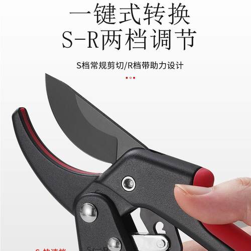 园艺摘果剪阳江不锈钢剪盆景果树修枝剪多功能葡萄花椒剪园林工具