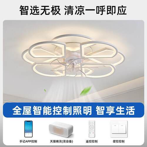新款直销110V外贸款跨境北欧极简客厅大气装饰吸顶风扇灯智能卧室