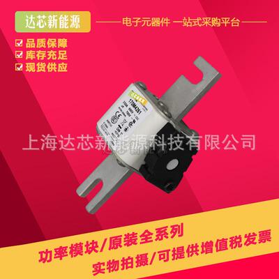 170M3981 170M3982 170M3983 170M3984 170M3985 170M3986熔断器