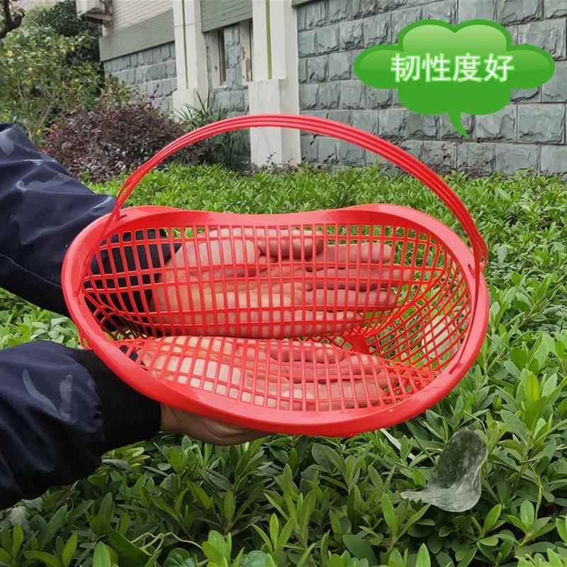 草莓采筐砂糖橘果园草莓OME蓝莓园蔬菜杨桃梅桑葚樱枇杷摘框橘子