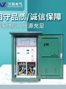 10kv高压环网柜DFW-12-T630电缆分支箱带开关一进一二三四出