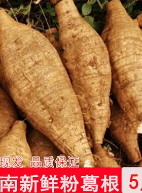 新疆包邮云南新鲜葛根粉葛根无渣农家山地葛根现挖大山野葛根煲汤