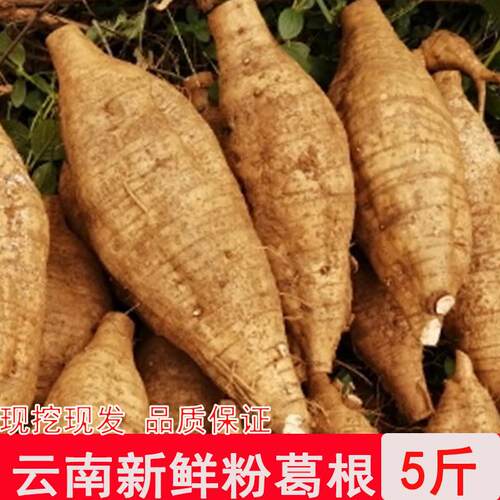 新疆包邮云南新鲜葛根粉葛根无渣农家山地葛根现挖大山野葛根煲汤