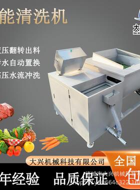 大兴万能洗菜机多功能蔬菜水果海鲜肉类清洗设备翻斗涡流洗菜机器