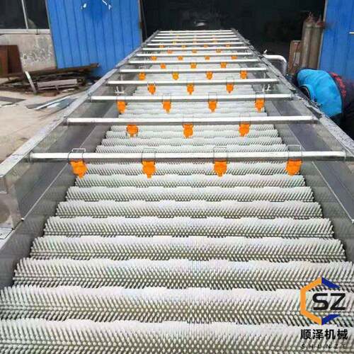 生蚝清洗机海蛎子清洗机连续式平行毛刷清洗机顺泽机械