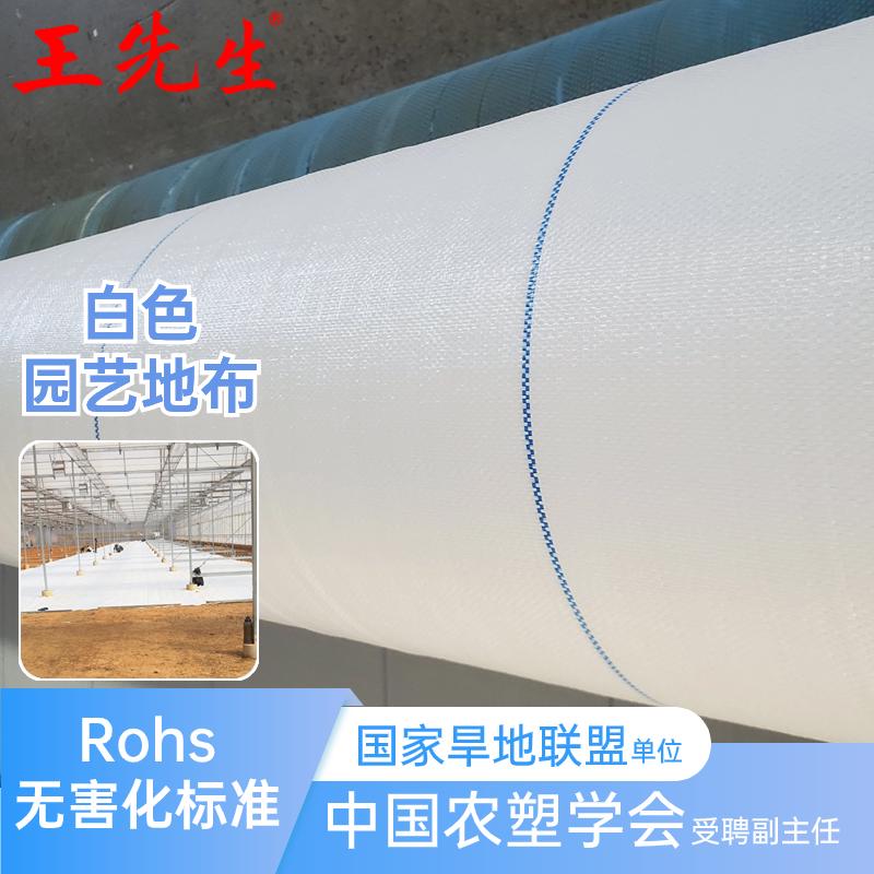 王先生漫反射白色反光地布 玻璃温室西红柿用加厚耐磨防草布地布