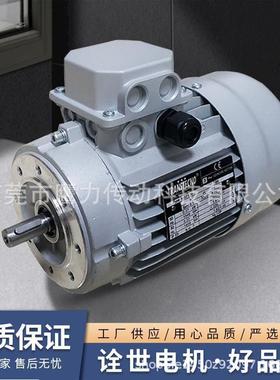 原装意大利TRANSTECNO诠世电机MS90L4 意大利TRANSTECNO电机马达