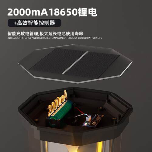 跨境新款户外火焰草坪灯太阳能地插灯COB柱头灯景区庭院景观灯
