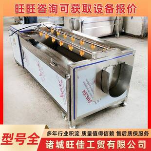 商用芦苇叶毛辊清洗机大型红薯芋头木薯去皮机大姜胡萝卜去皮机