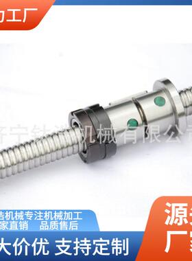 西安普利森丝杠CW61100D-2-11041定制加工