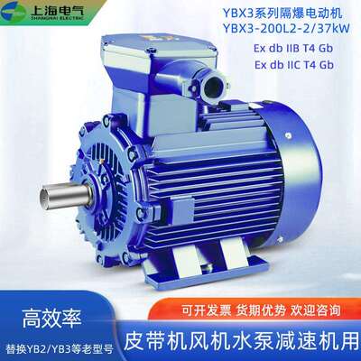 上海上电电机YBX3-200L2-2/37kW380V非煤矿防爆电机BT4CT4