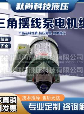 220V电动机油齿轮油泵TOP-12A机床润滑TOP-1113A三角摆线泵电机