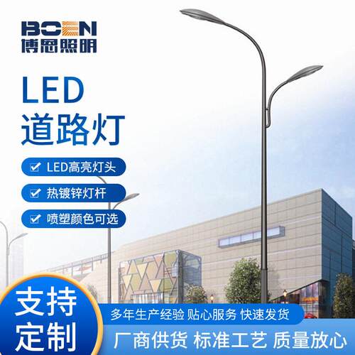 厂家供应LED路灯热镀锌市电路灯杆5米8米户外低臂双头双臂路灯