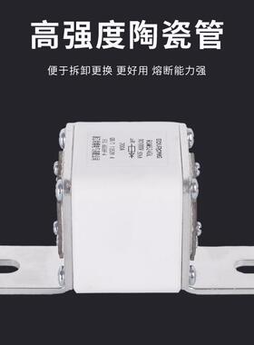 RSM5240L系列充电桩熔断器DC1000V200A-新能源电动汽车直流熔断器