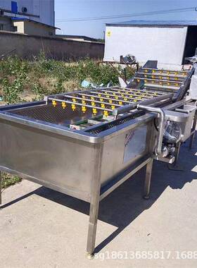 水果清洗机果蔬加工配套清洗上料机去渣质苹果梨子樱桃清洗设备