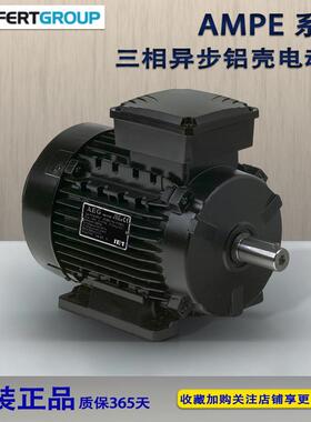 供应拉菲特AMPE系列IE2IE3电动机AMBY直流刹车180W至200W