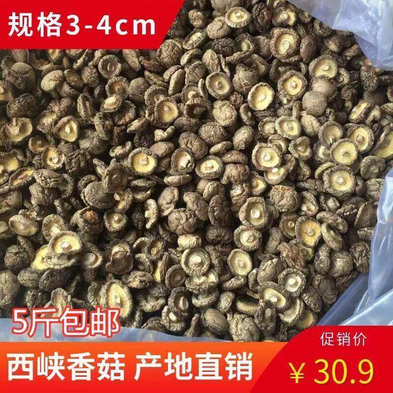 菌裕香菇干货香菇干商用农家厚肉剪脚新货蘑菇小金钱菇椴木大香菇