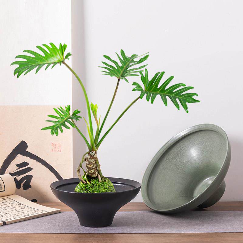 苔藓球花盆禅意白陶简约素雅陶瓷花器专用适配多种绿植造景盆
