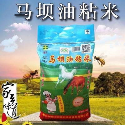 广东韶关正宗马坝油粘米10斤5kg软香大米不抛光农家米2025年新米