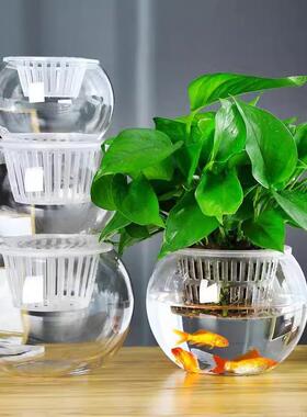 水培植物器皿玻璃瓶创意玻璃花盆水养白掌红掌绿萝大号花瓶透明插