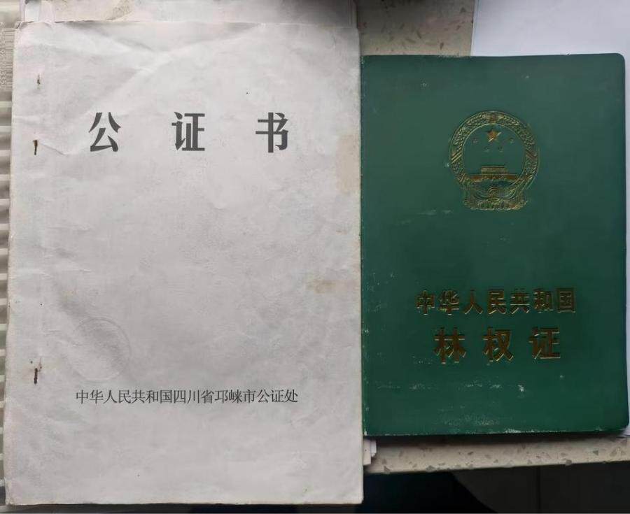 南宝山70多亩山林转让｜海拔1600米｜真人CS/露营/种植多元开发｜手续齐备可流转